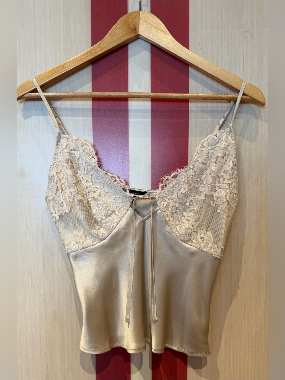 Quince 100% Washable Silk Lace Cami in Champagne Size XS